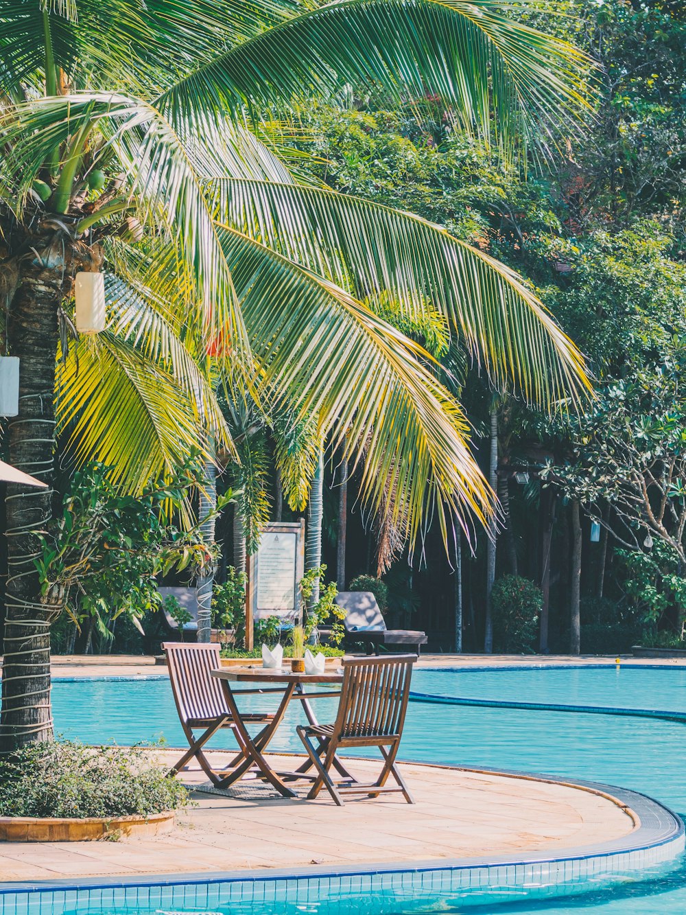 bistro set under coconut tree beside pool side