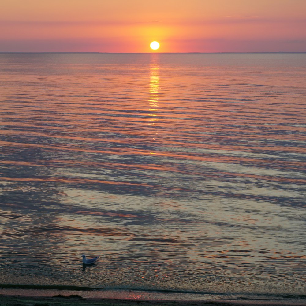 Cuerpo de agua en calma durante el horizonte