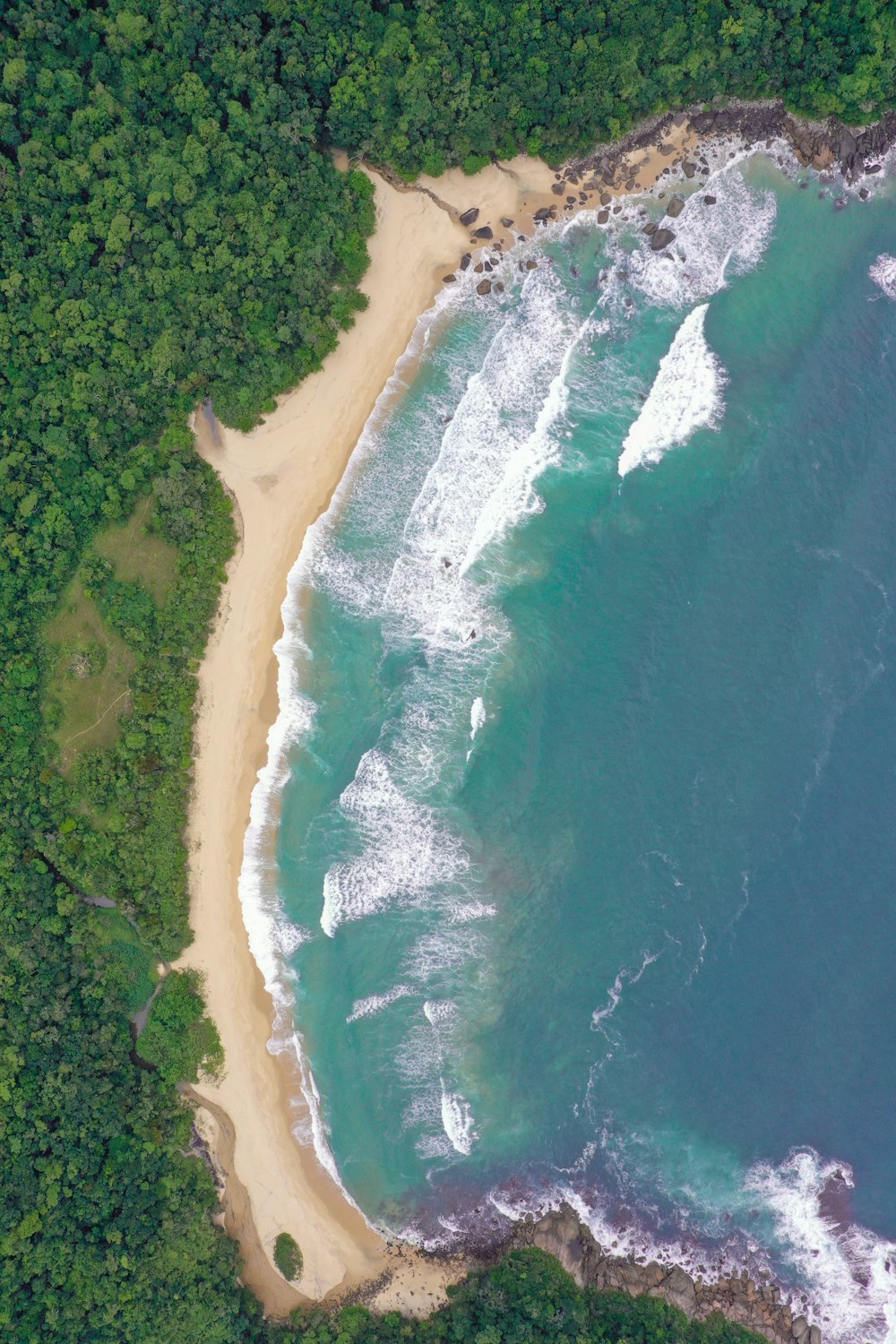 Vista aérea de la orilla del mar cerca de los árboles durante el día