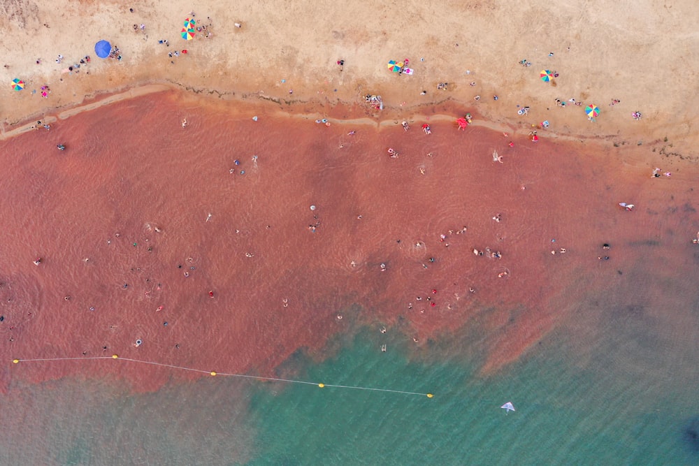 vista panorâmica do grupo de peeoplee na praia
