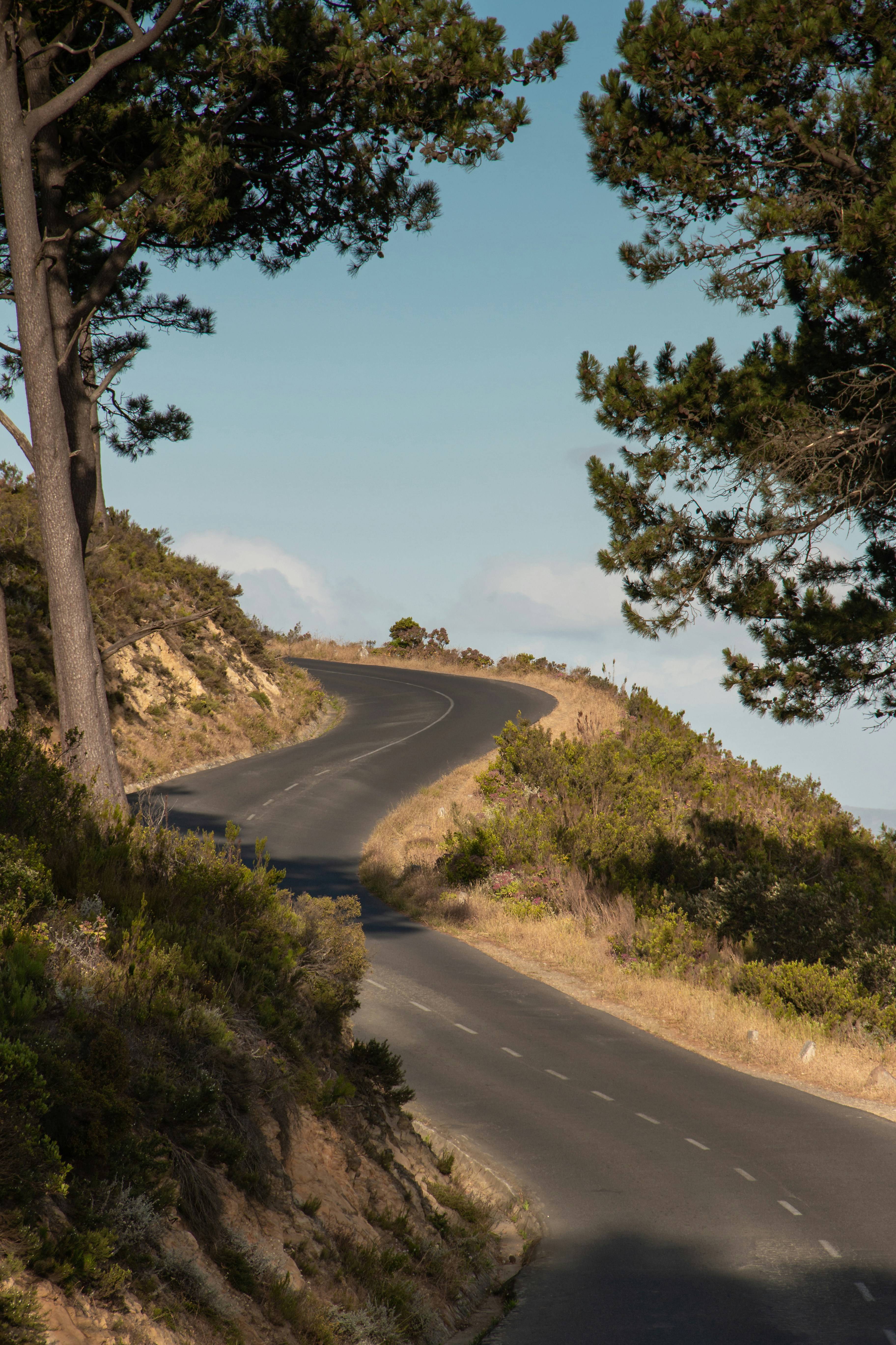 Photo by brentninaber