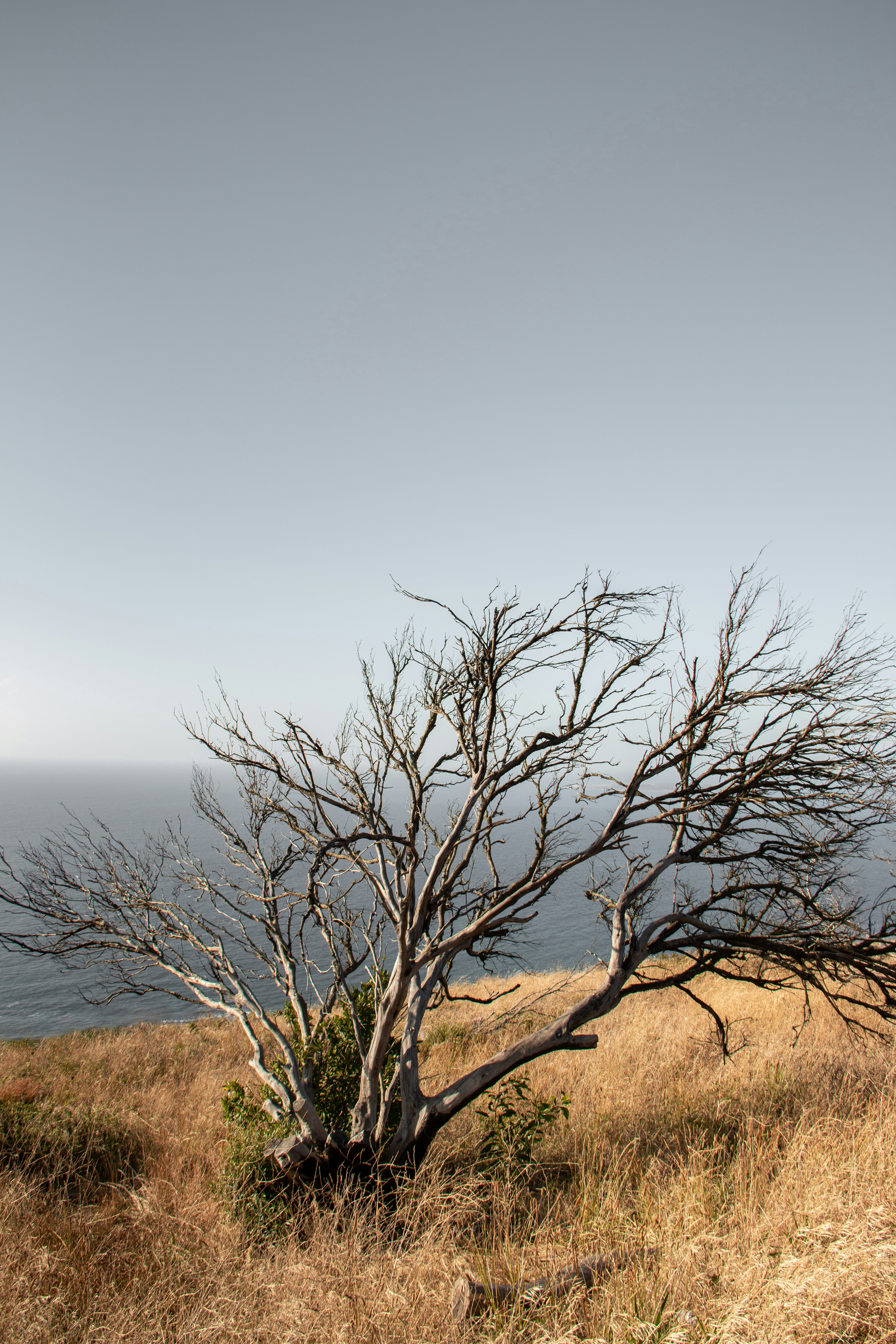 Photo by brentninaber