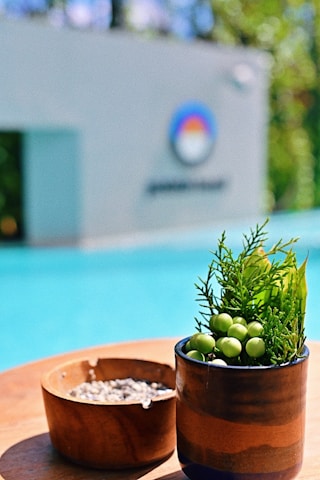 A small plant with green berries and leaves sits in a brown and blue pot on a wooden surface. Next to it is another wooden bowl containing seeds. In the background, there is a blurred view of a swimming pool and a wall with a colorful circular logo.