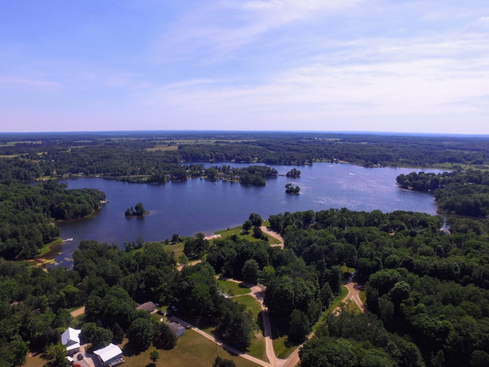 bird's-eye view photo of river on trees