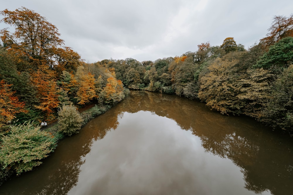 a body of water surrounded by trees and foliage