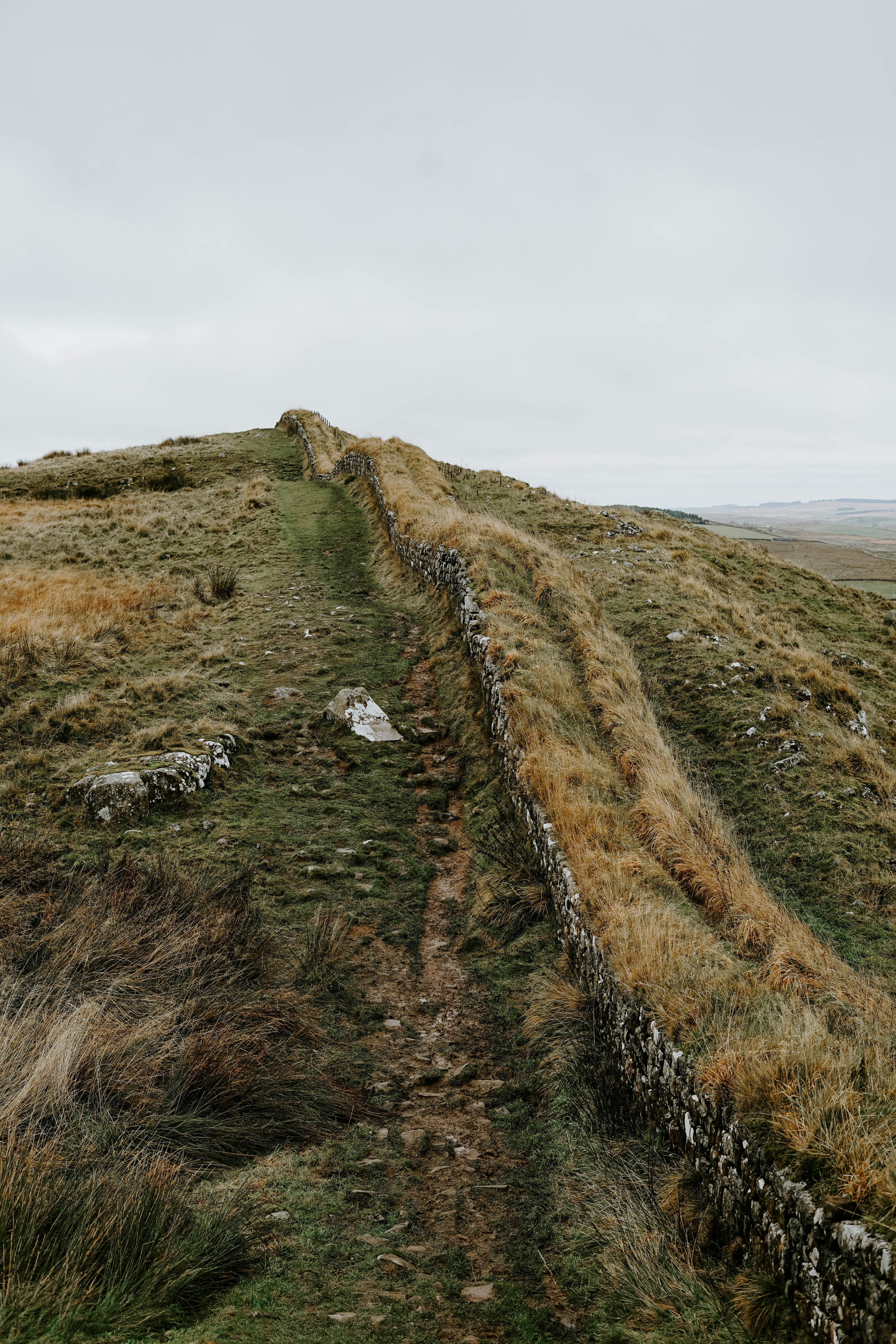 hill with green grass