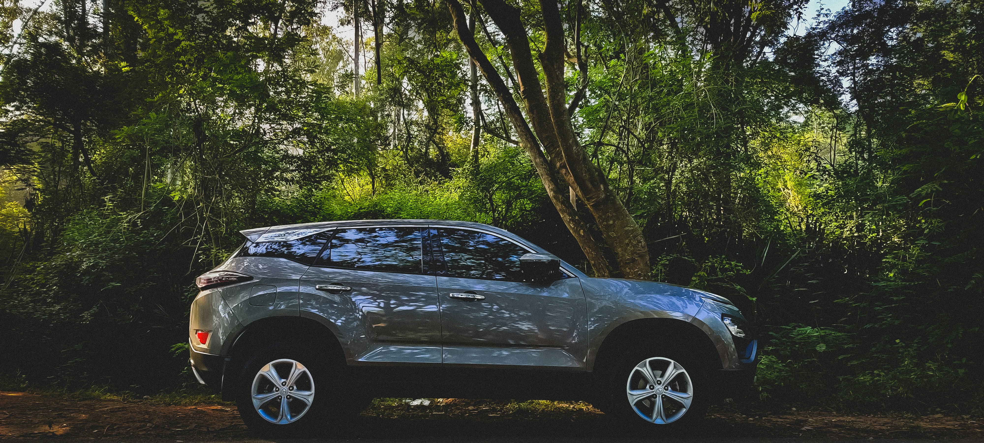 Photo by anaamadheya