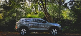 A silver SUV is parked on a dirt path surrounded by a dense green forest. The vehicle is partially shaded by tall trees, with sunlight filtering through the leaves.