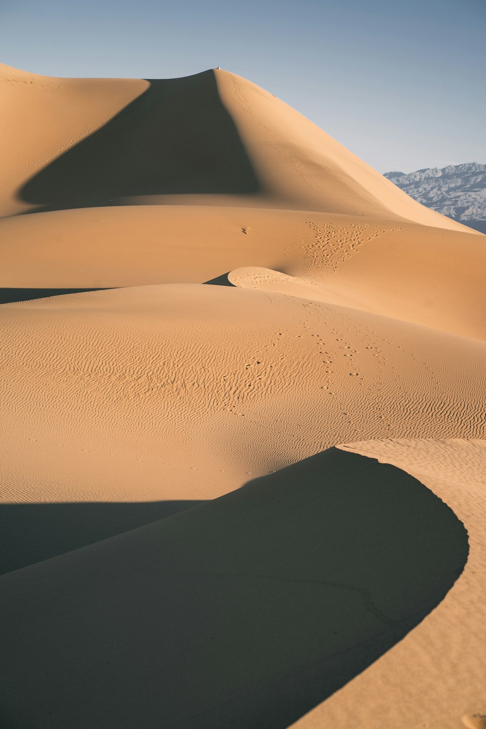 landscape photography of desert