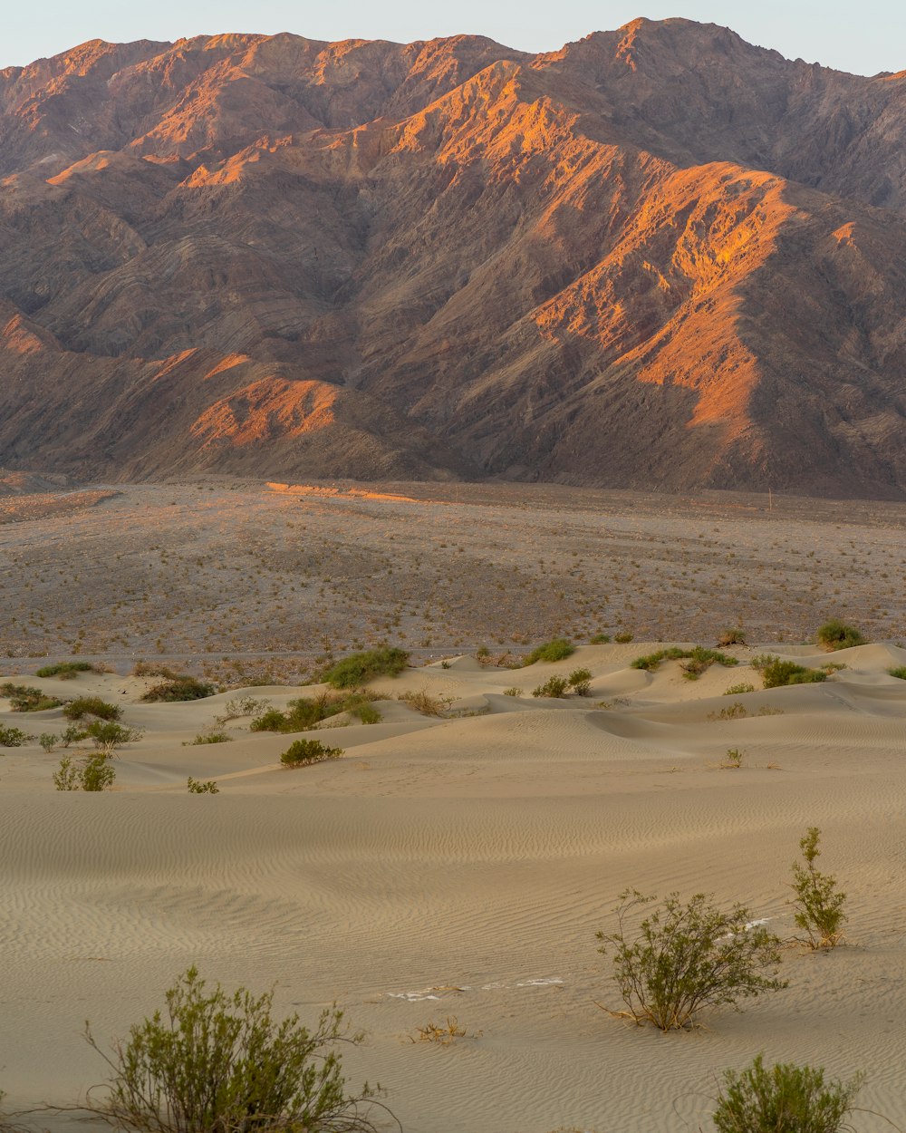 aerial photography of desert during daytime