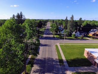 A quiet, tree-lined vacant lot in a growing Florida suburb with clear skies.