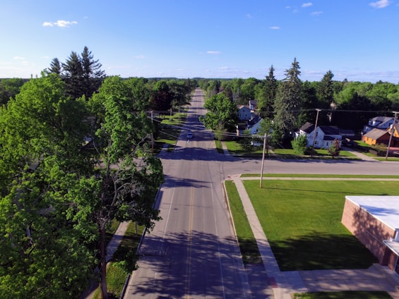 A quiet, tree-lined vacant lot in a growing Florida suburb with clear skies.