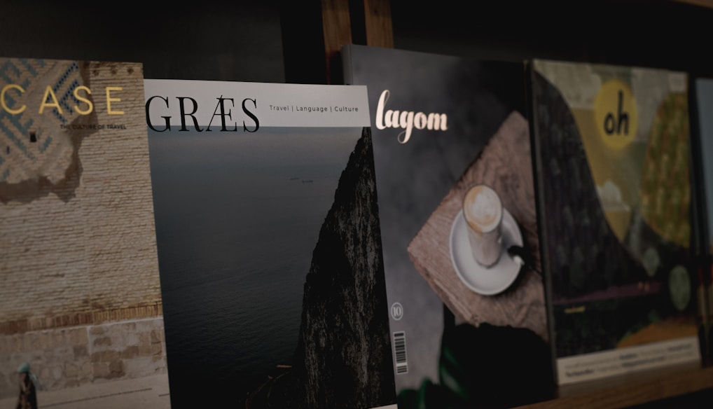 vinyl record on brown wooden shelf