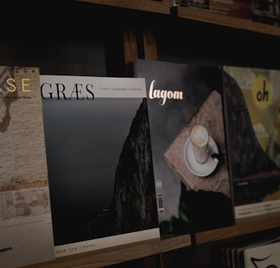 vinyl record on brown wooden shelf