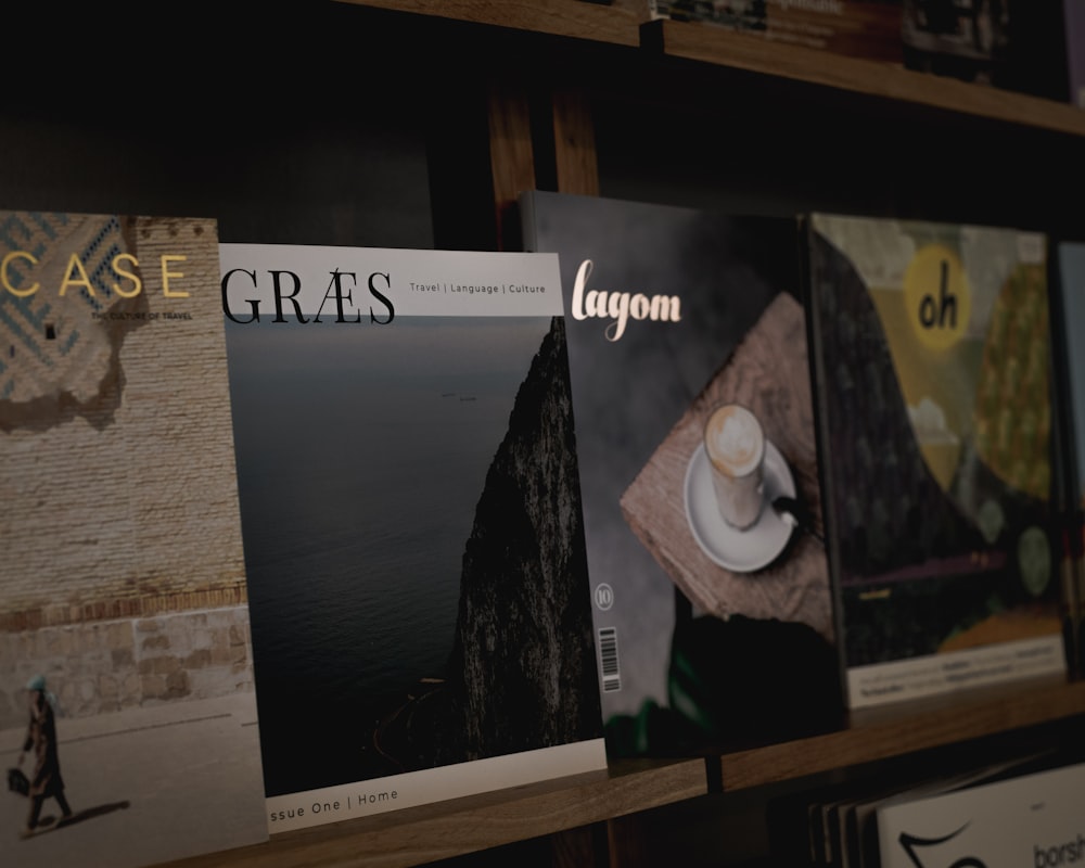 vinyl record on brown wooden shelf