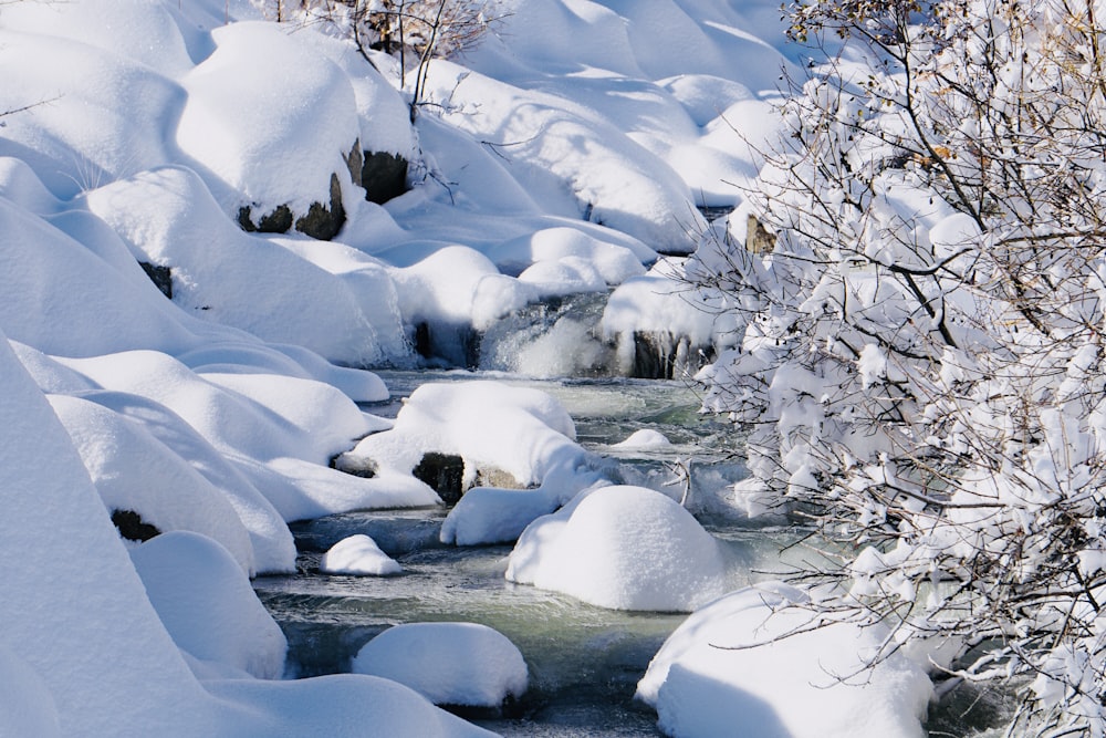 icysurface and lake