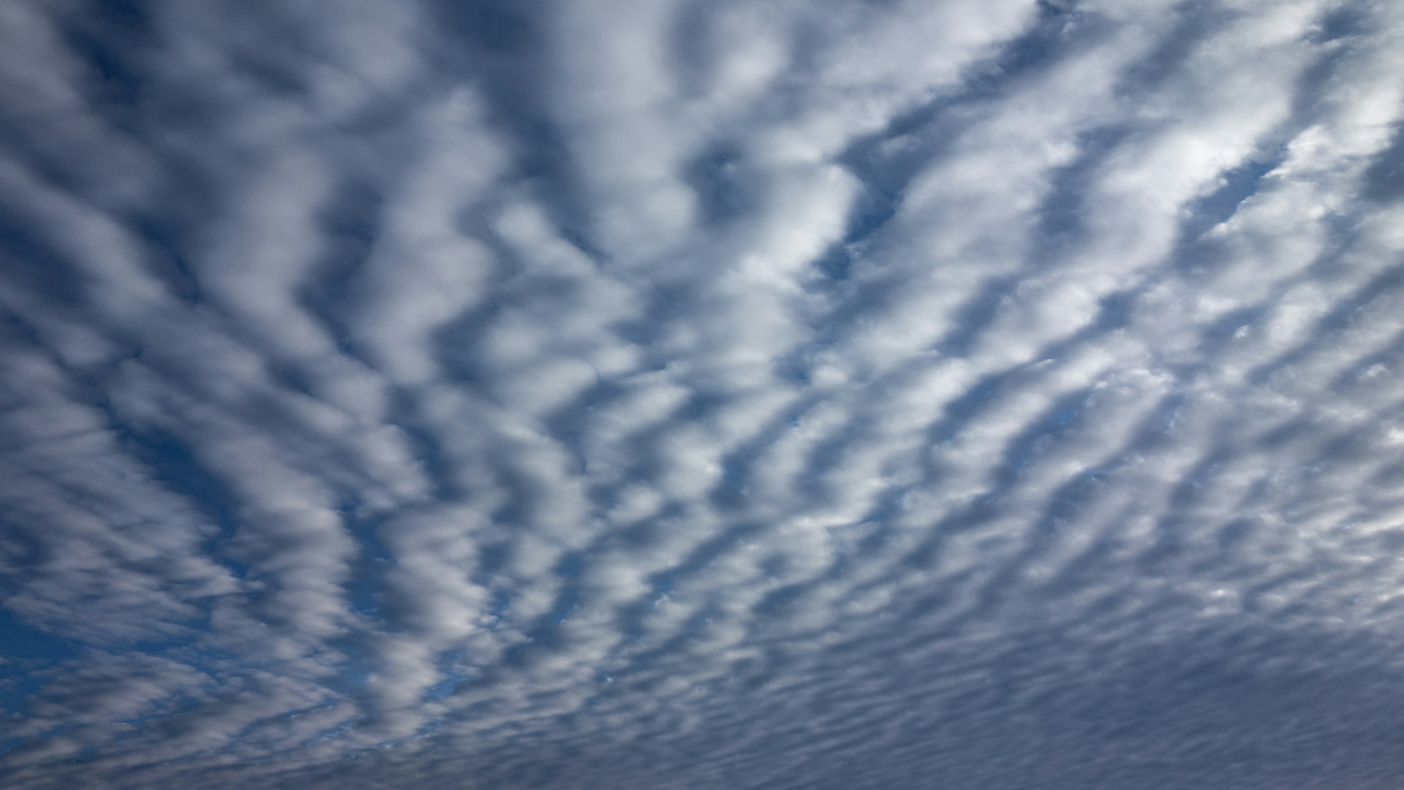 Photo by worldsbetweenlines