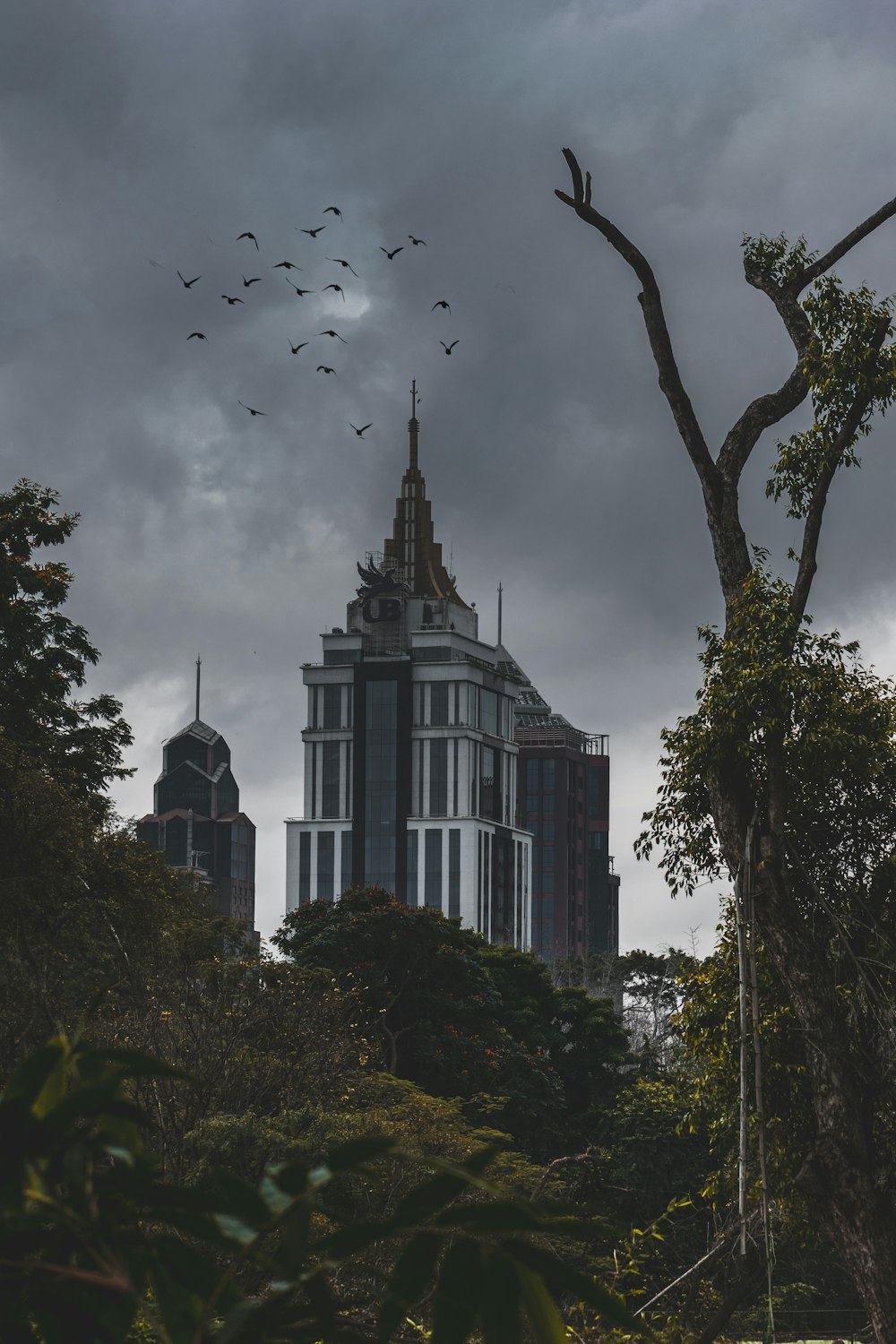 Edificio blanco y gris