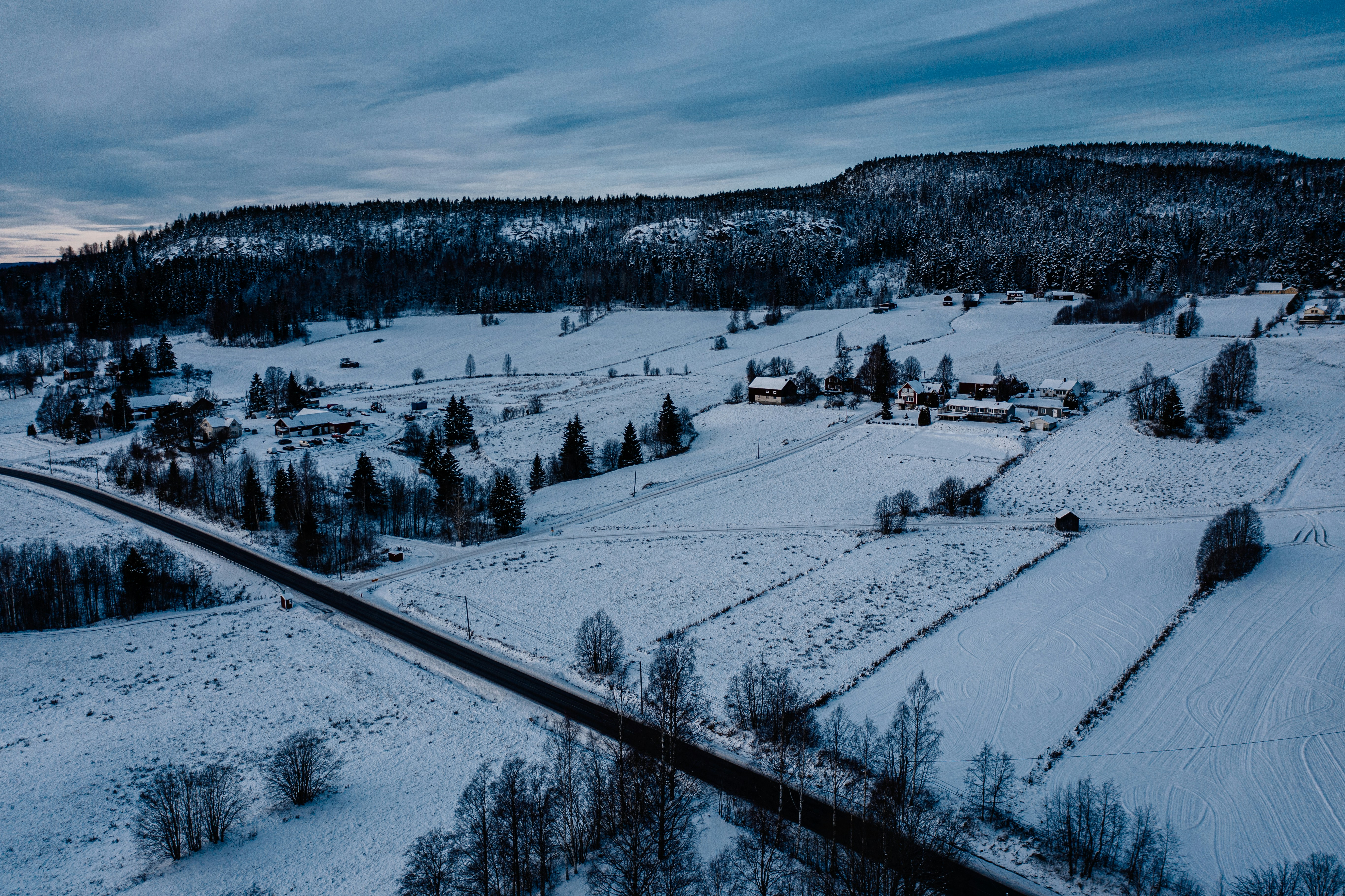 Photo by hendrikpeter