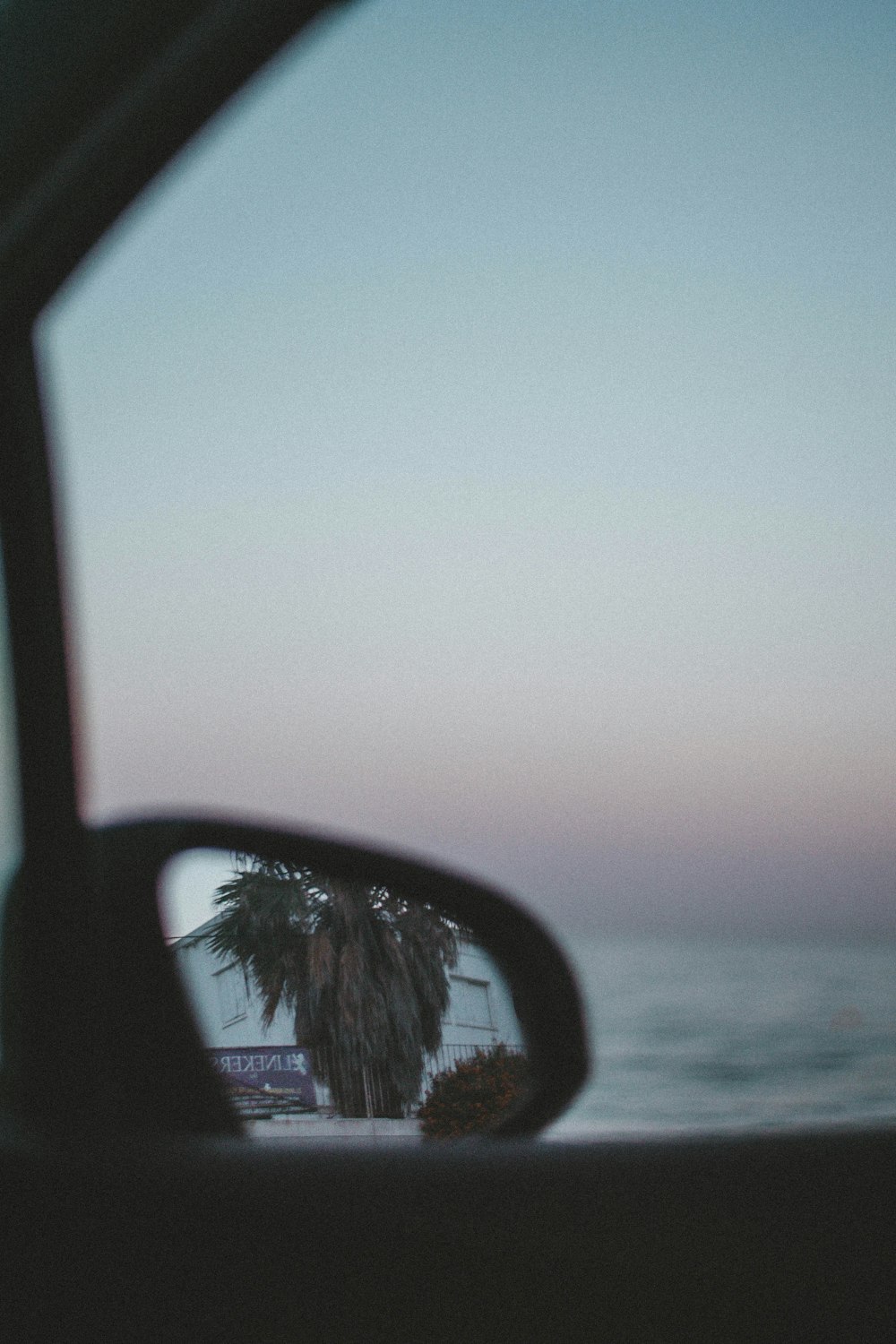 selective focus photo of side mirror of vehicle reflecting the tree