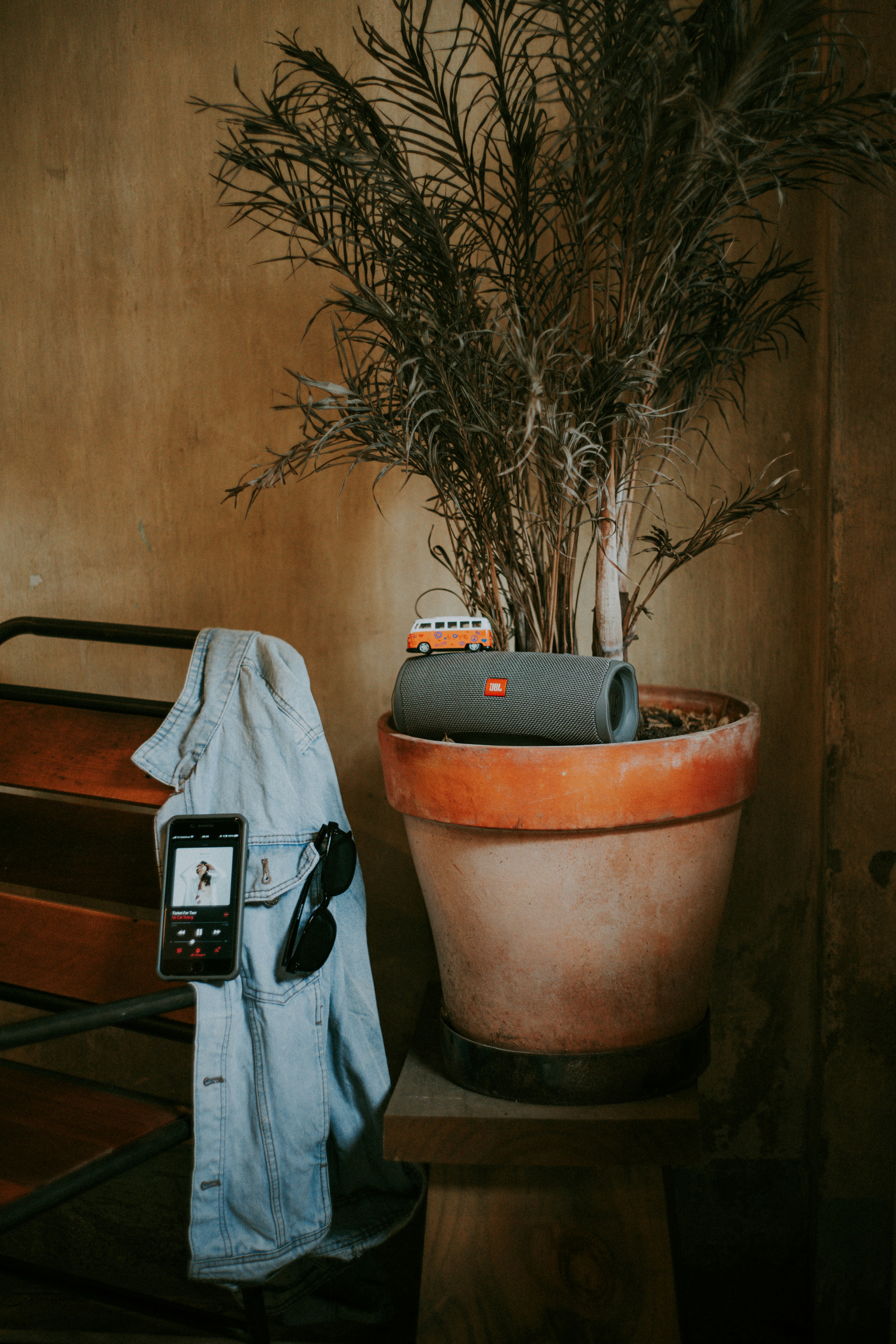 green-leafed palm plants