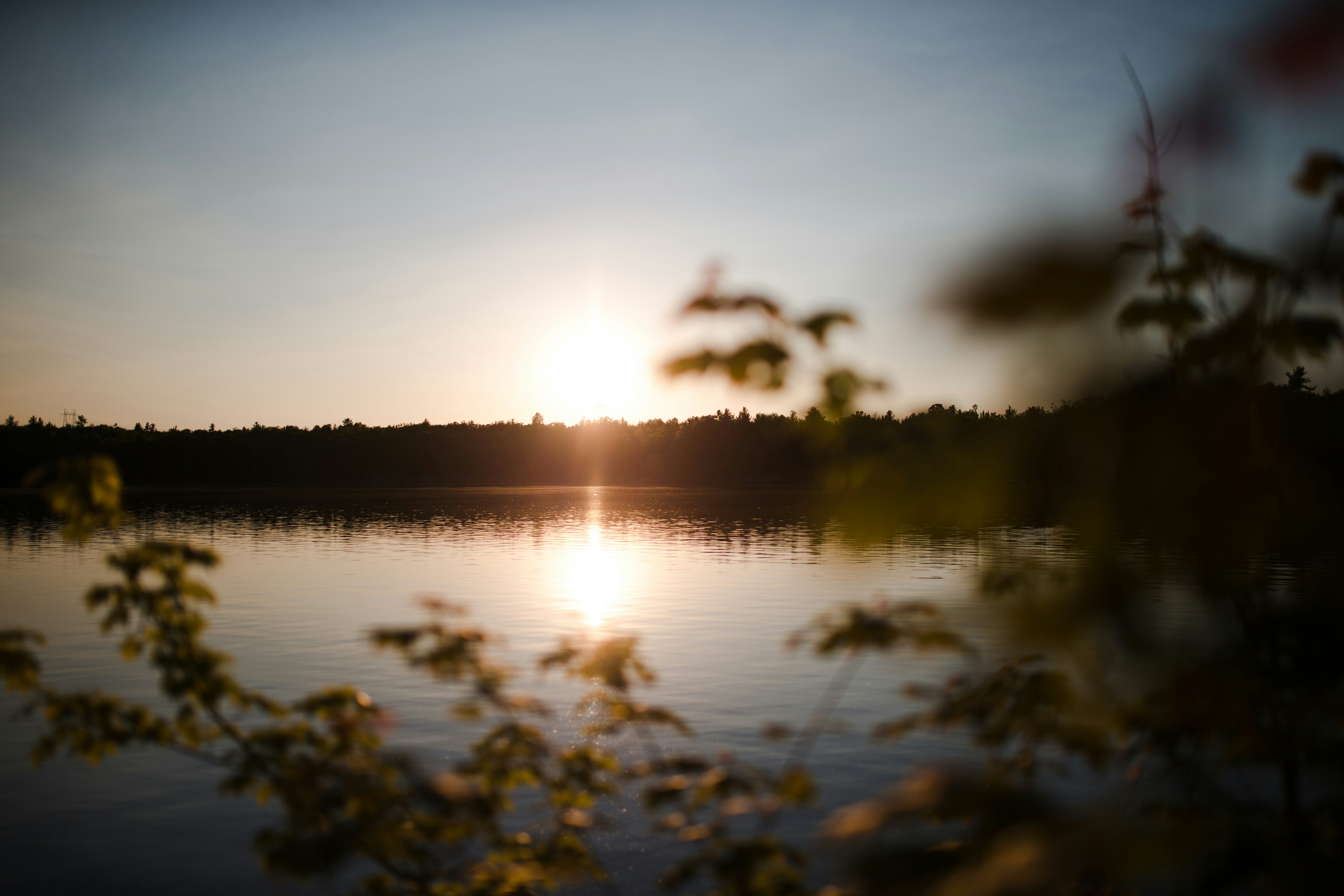 Photo by bradydrogers