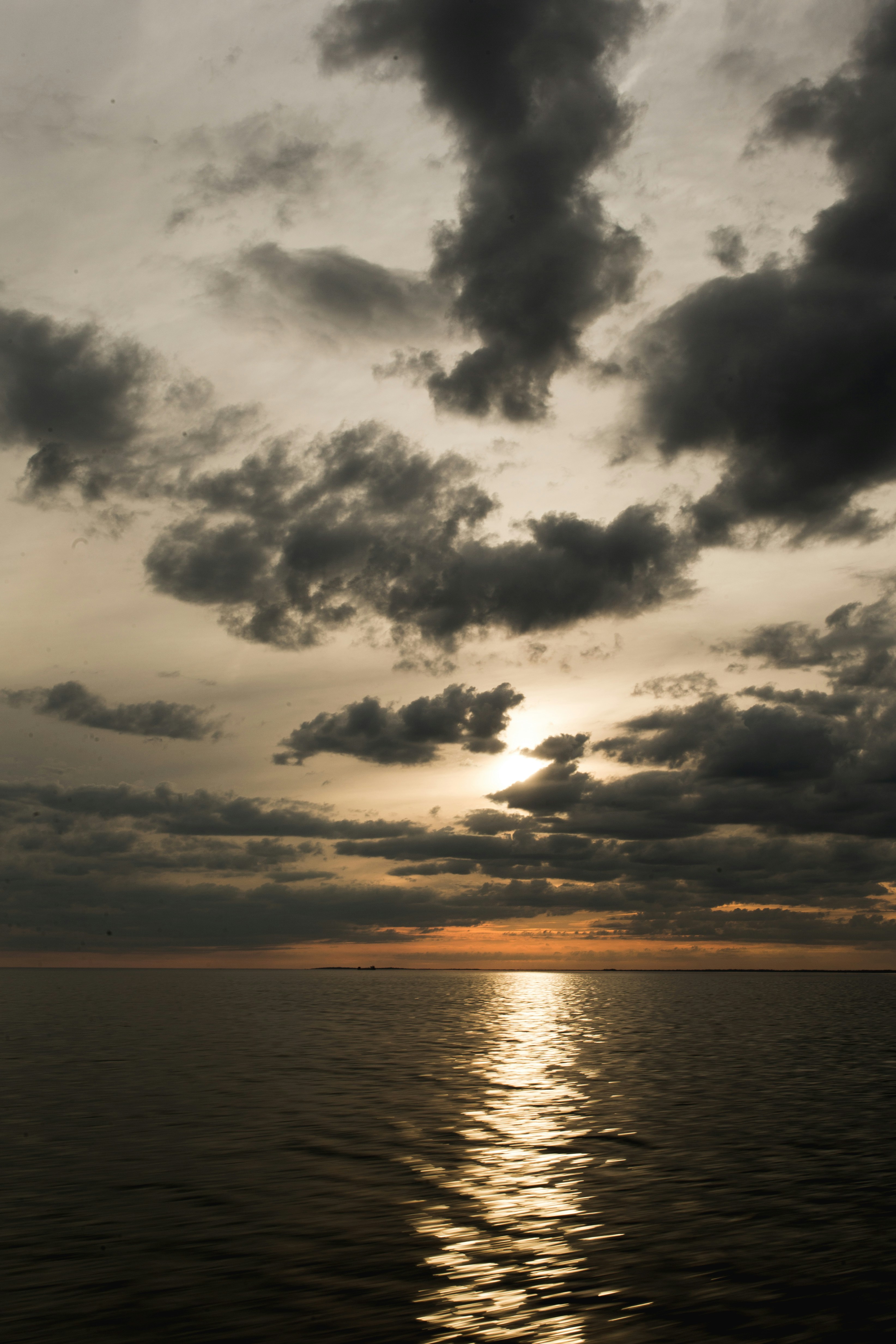 Photo by bradydrogers