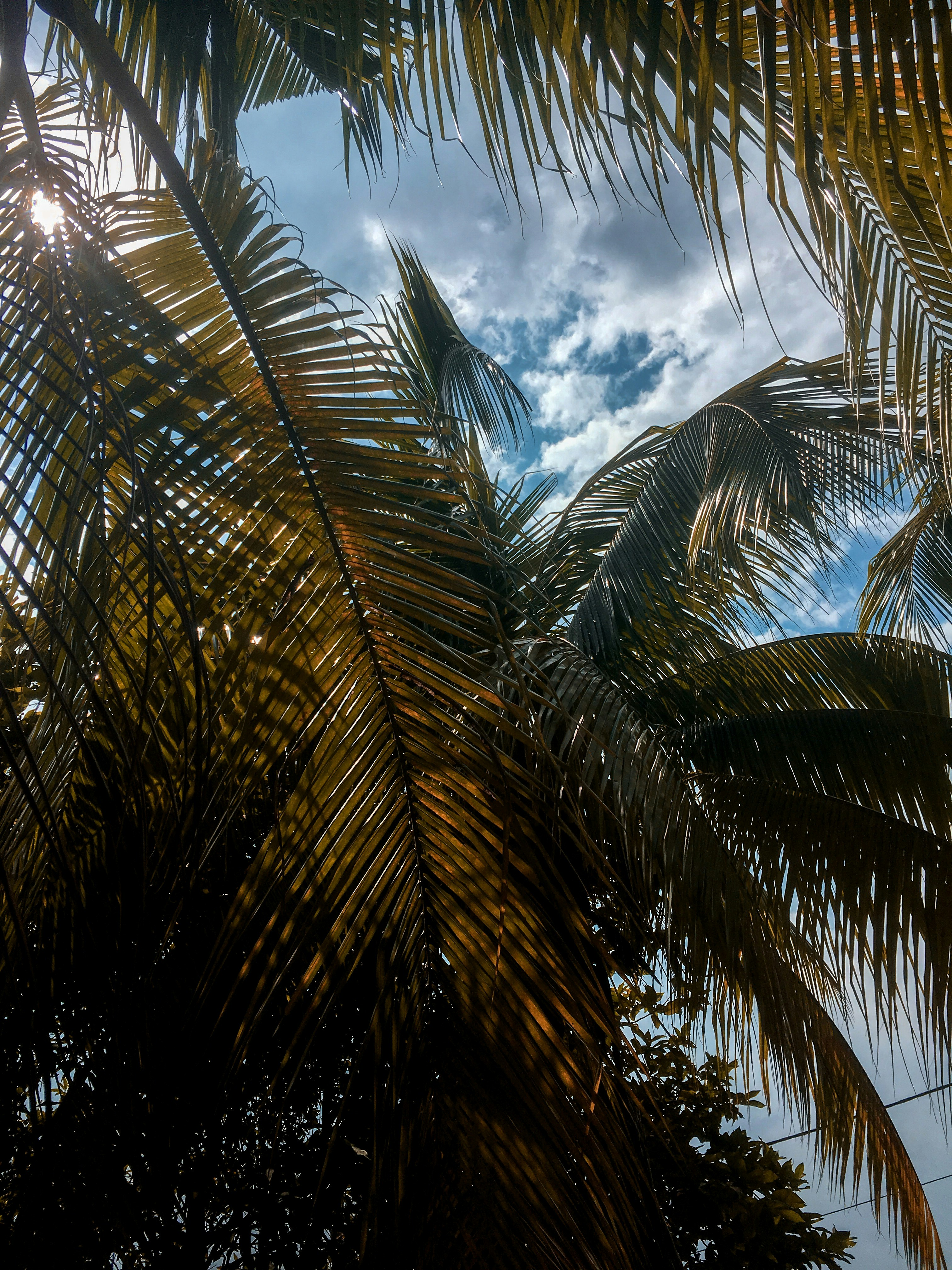 Photo by kushibarbar