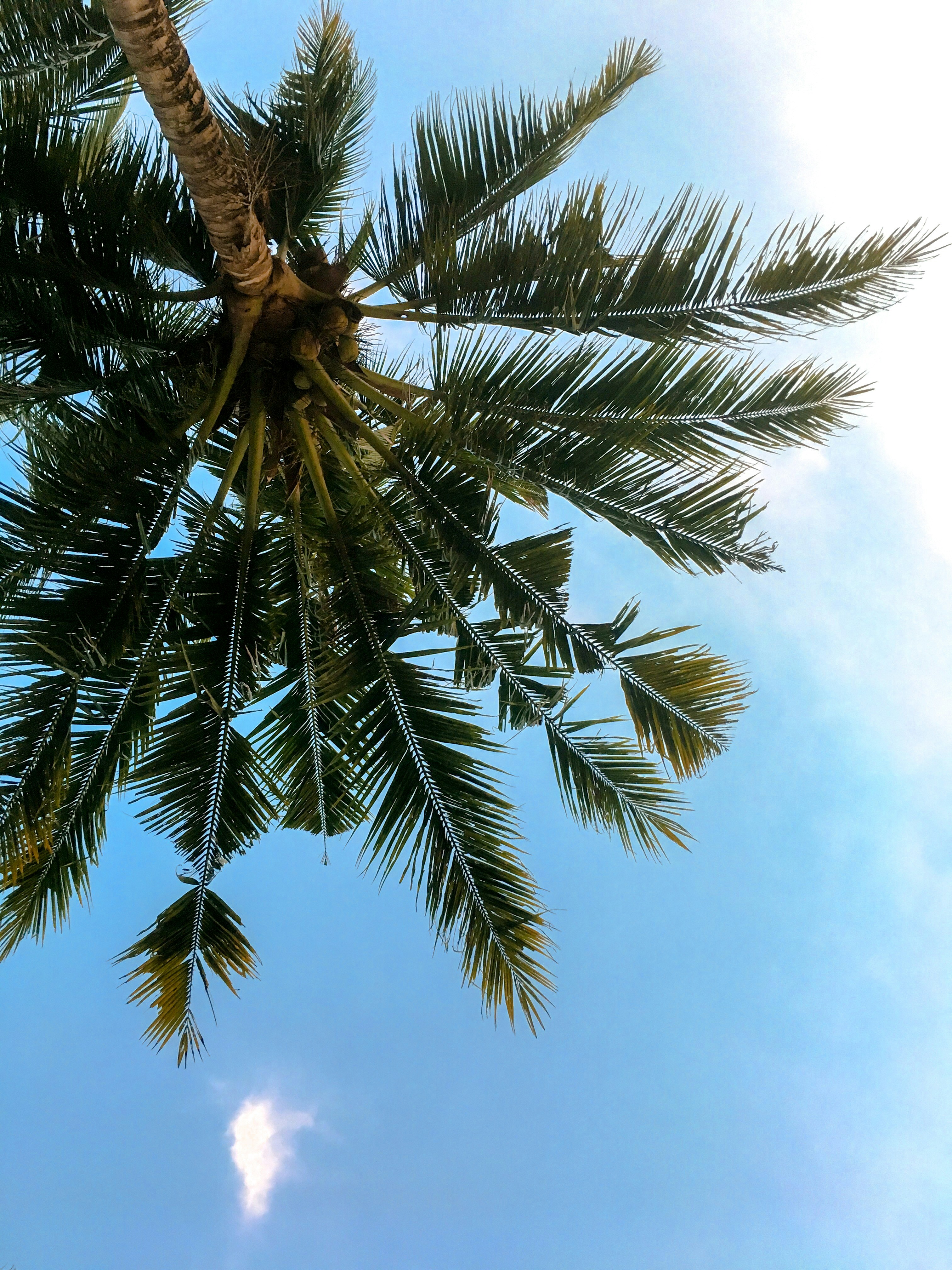 Photo by kushibarbar