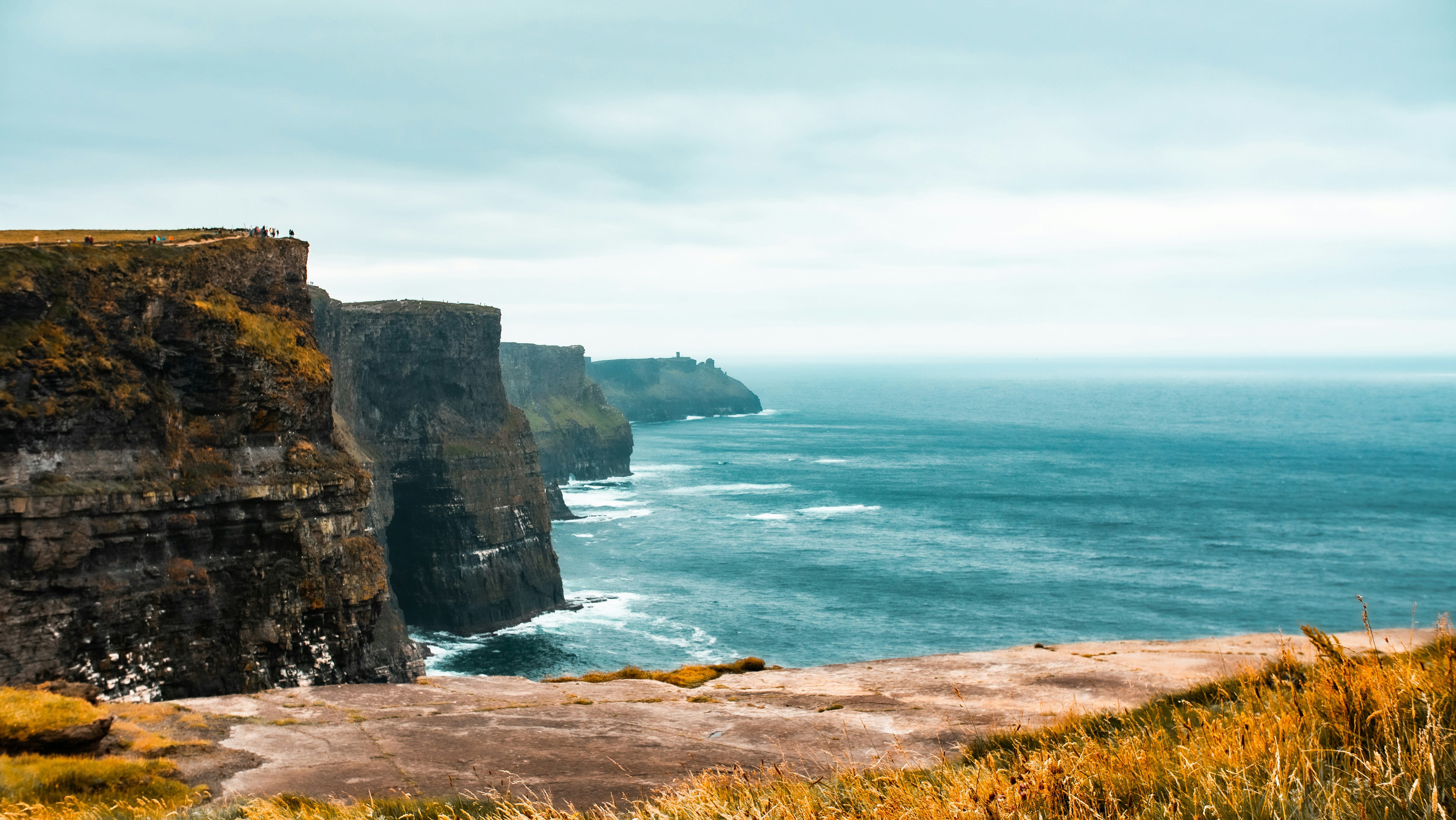 Photo by lerm2mysquirm