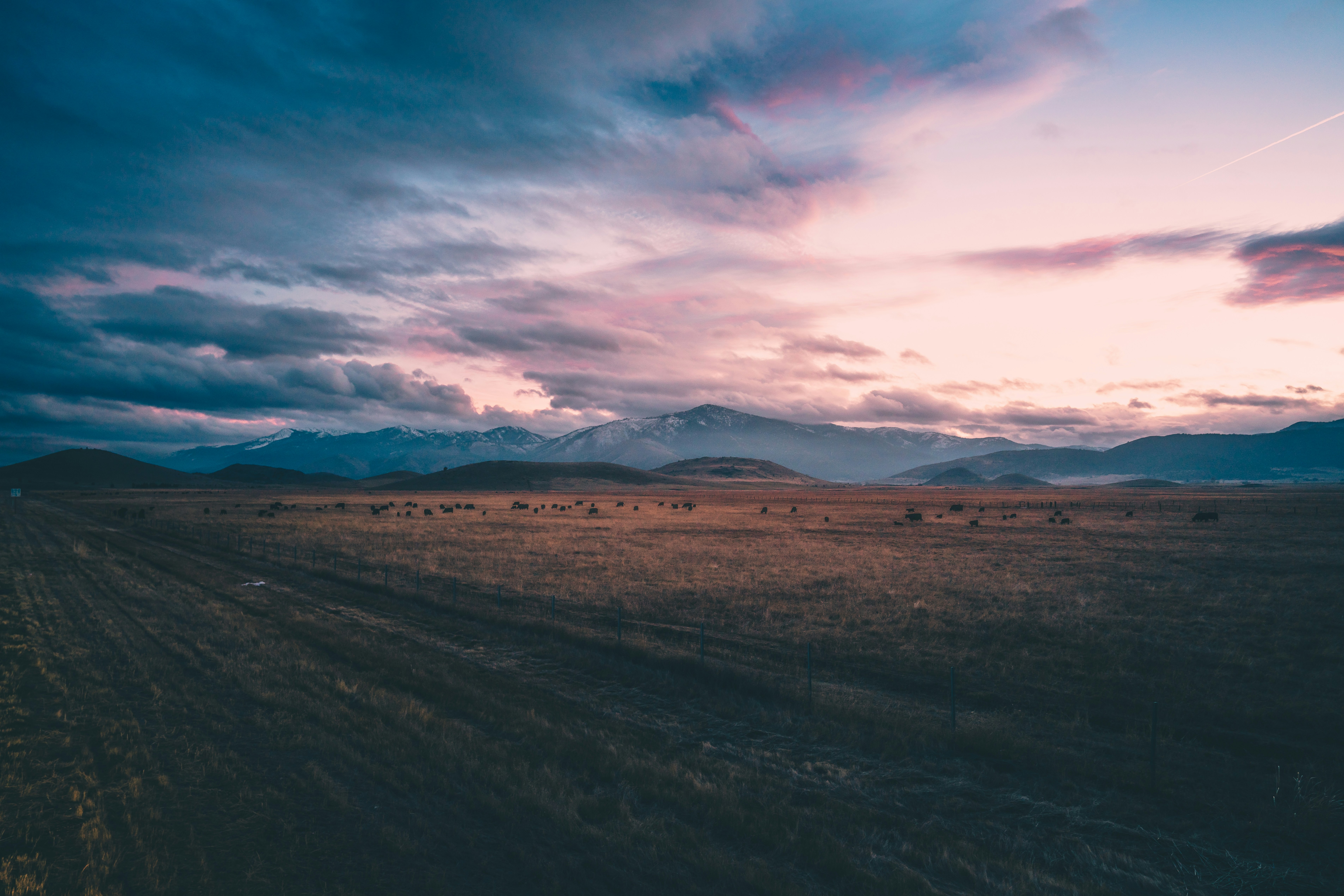 Photo by desgnarlais