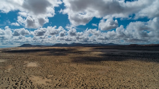 brown soils in Corralejo Spain