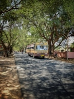 A bus travels down a tree-lined road with dappled sunlight creating patterns on the pavement. Tall trees with lush green foliage form an arch over the road, creating a peaceful and scenic atmosphere. A few motorcyclists follow the bus at a distance, while shadows of branches play across the ground.