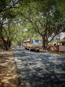 A bus travels down a tree-lined road with dappled sunlight creating patterns on the pavement. Tall trees with lush green foliage form an arch over the road, creating a peaceful and scenic atmosphere. A few motorcyclists follow the bus at a distance, while shadows of branches play across the ground.