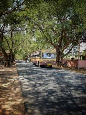 A bus travels down a tree-lined road with dappled sunlight creating patterns on the pavement. Tall trees with lush green foliage form an arch over the road, creating a peaceful and scenic atmosphere. A few motorcyclists follow the bus at a distance, while shadows of branches play across the ground.