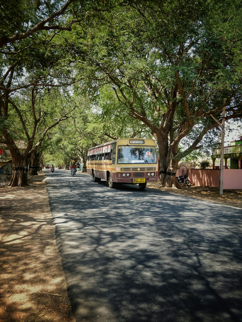 yellow bus beside green tree