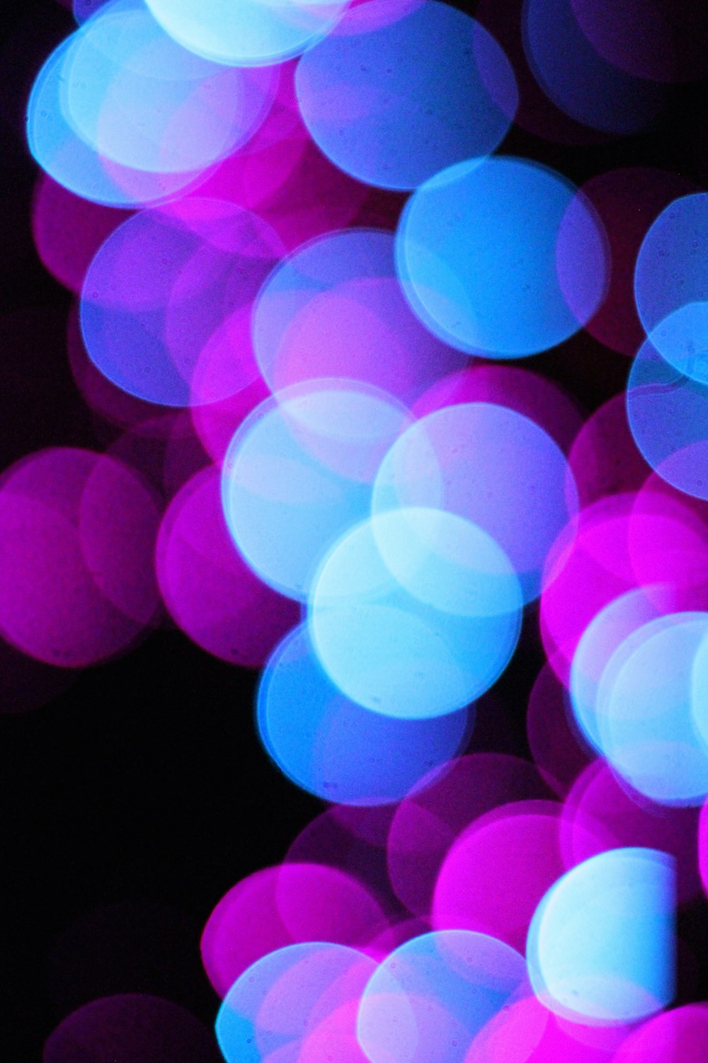 blue and pink bokeh lights