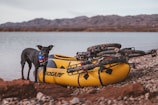 A black dog wearing a colorful bandana stands on a rocky shore next to a bright yellow inflatable kayak with two bicycles placed on top. The location is a peaceful lakeside with mountains visible in the background.