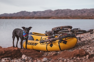 A black dog wearing a colorful bandana stands on a rocky shore next to a bright yellow inflatable kayak with two bicycles placed on top. The location is a peaceful lakeside with mountains visible in the background.