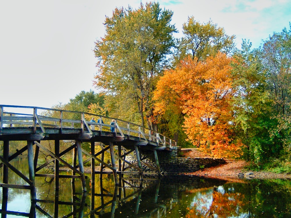 Puente cerca de los árboles