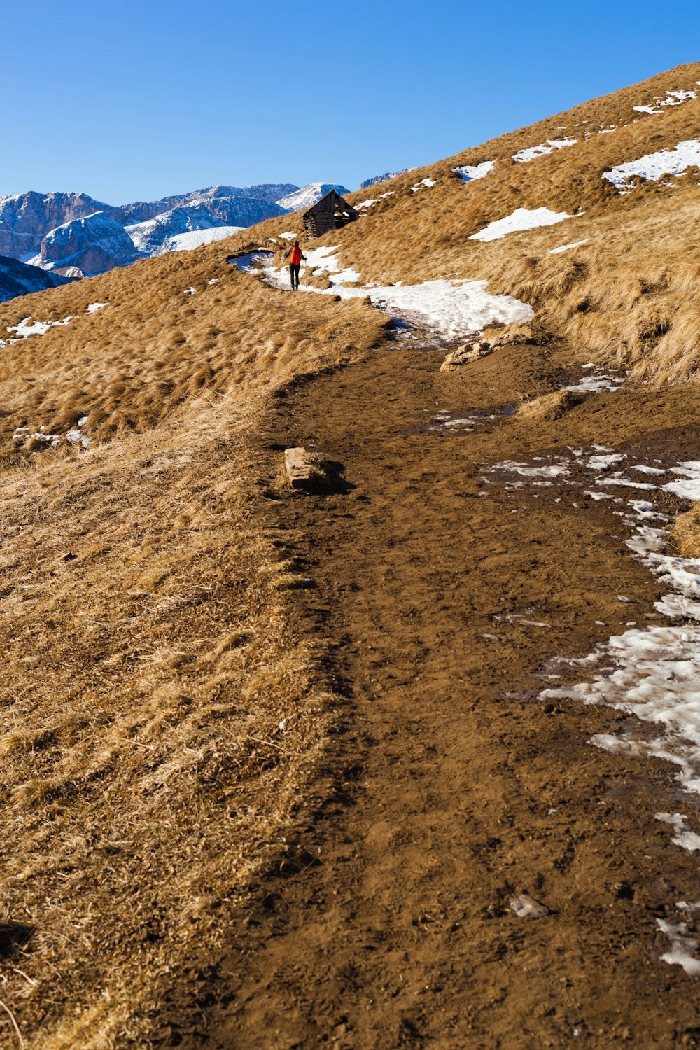 person walking on hill towards brown wooden house