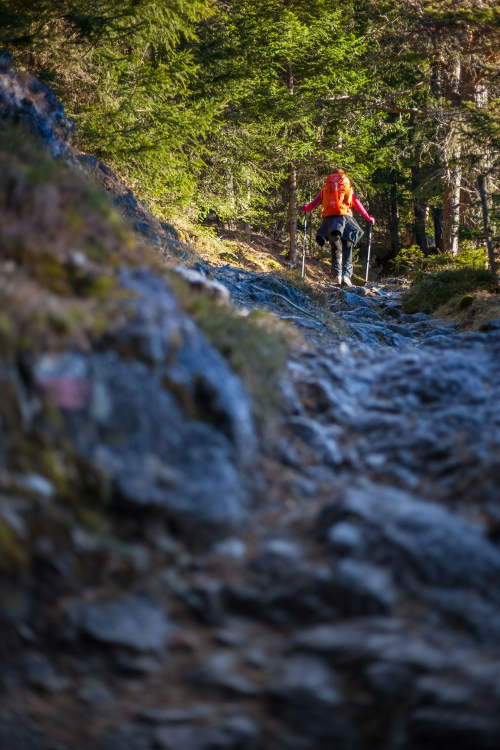 woman hiking in forest