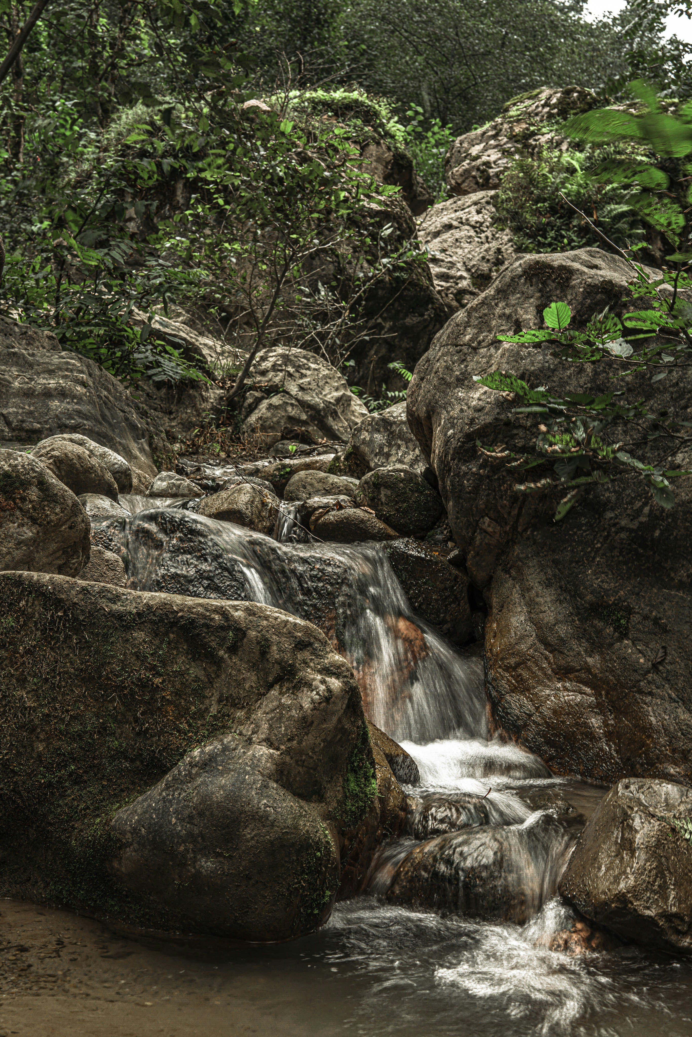 Photo by parizad_shojaei