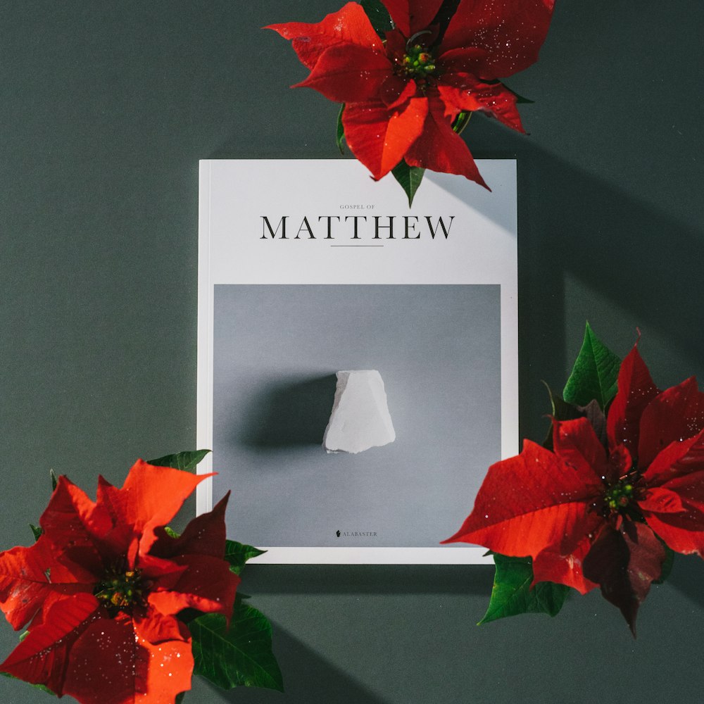 Matthew book near red poinsettia flowers