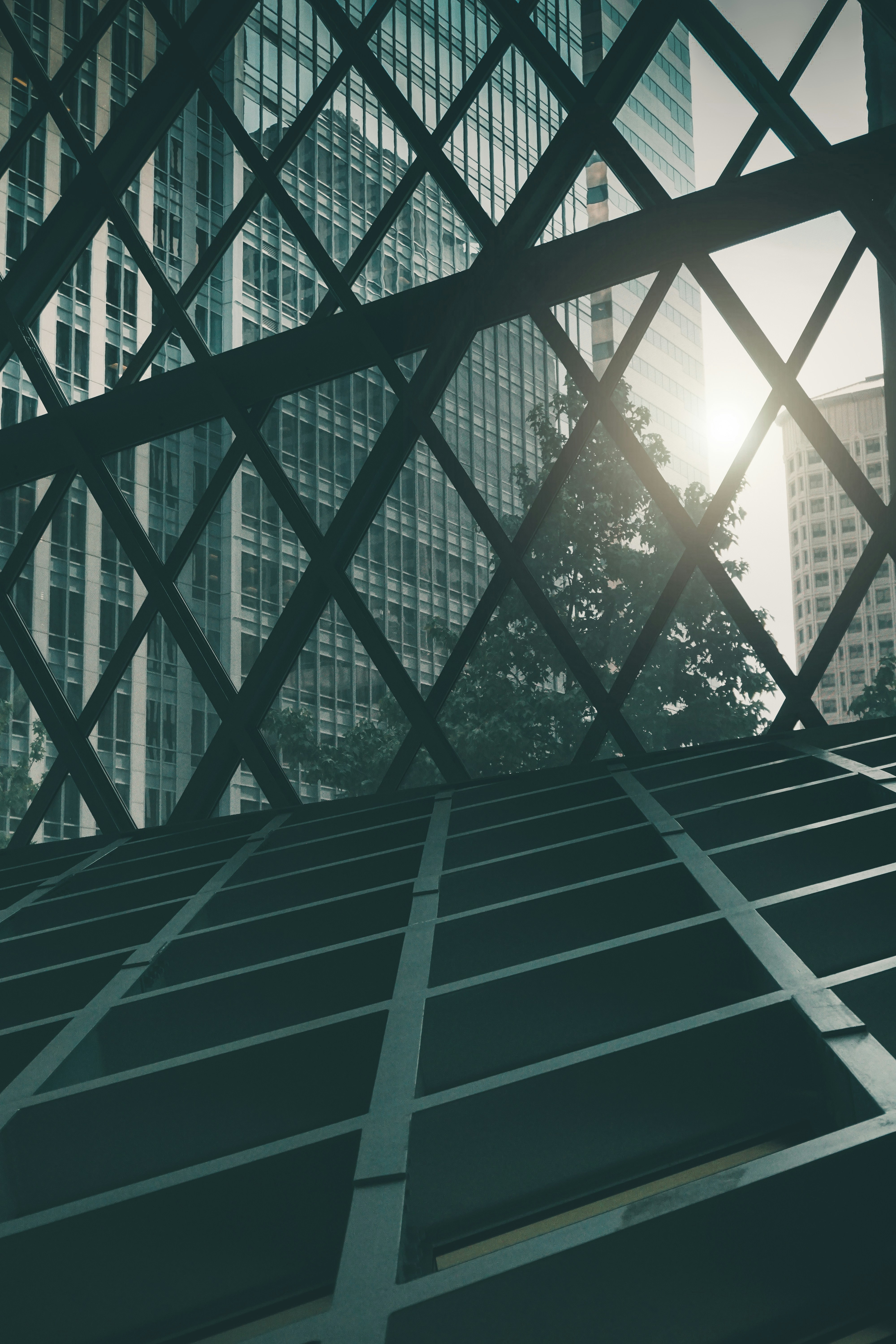 Photo by brvndonmitchell