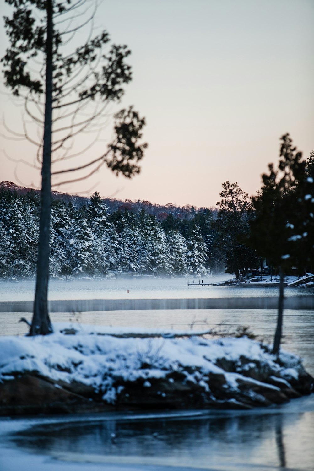 árvores cobertas de neve perto do rio