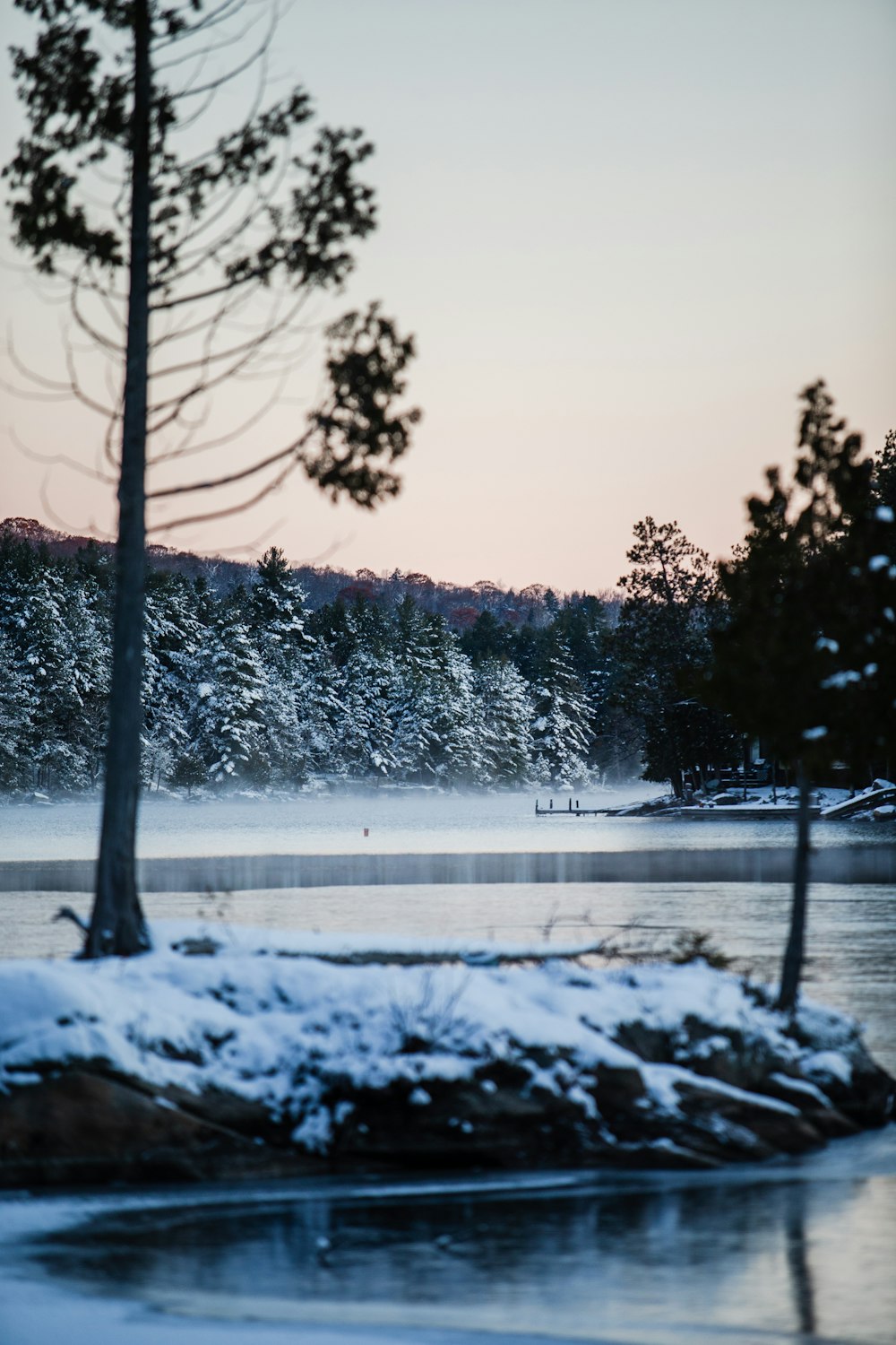 alberi innevati vicino al fiume