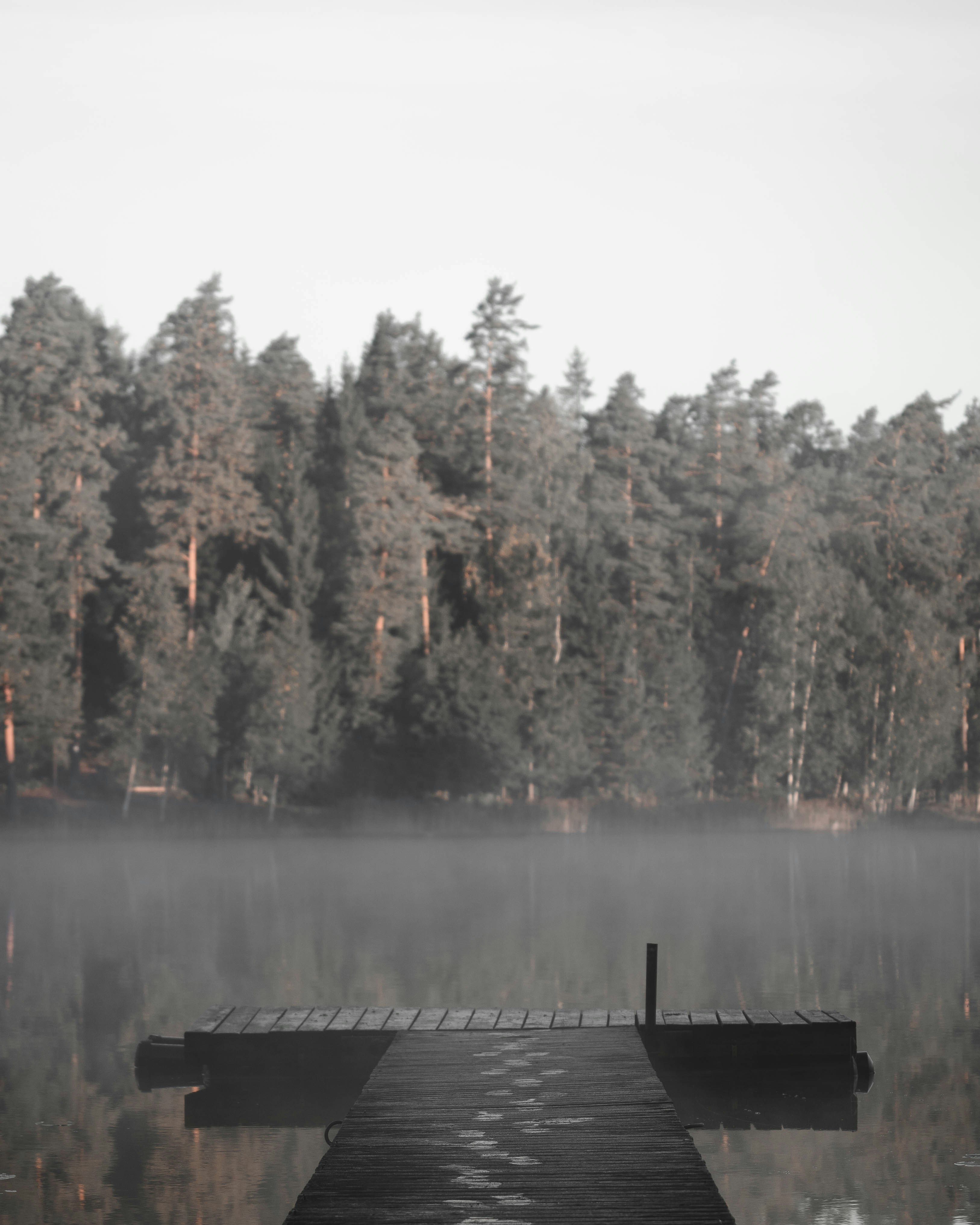 Photo by viklundvisuals
