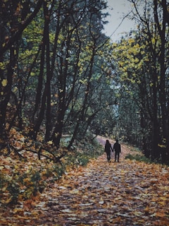 A couple walking hand in hand on a winding forest path covered with fallen leaves.