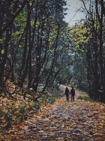 A couple walking hand in hand on a winding forest path covered with fallen leaves.